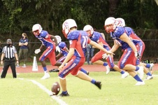 Enlarge photo 167