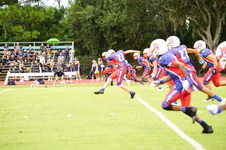 Enlarge photo 169