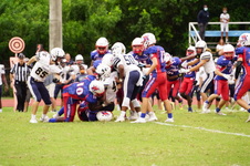 Enlarge photo 179