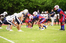 Enlarge photo 214