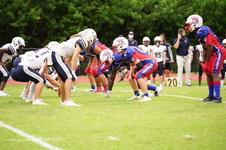 Enlarge photo 215