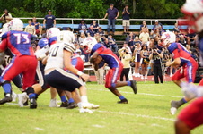 Enlarge photo 223