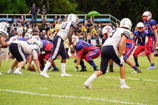 Enlarge photo 224
