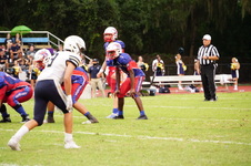 Enlarge photo 228