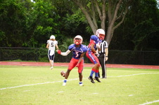 Enlarge photo 247