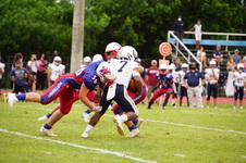 Enlarge photo 297