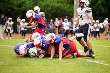 Enlarge photo 304