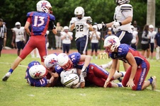 Enlarge photo 305