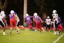 Enlarge photo 337