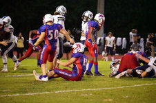 Enlarge photo 469