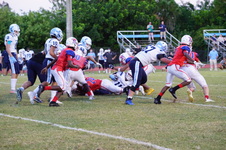 Enlarge photo 44