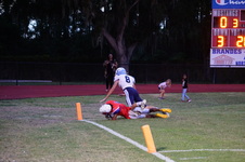 Enlarge photo 90