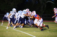 Enlarge photo 135