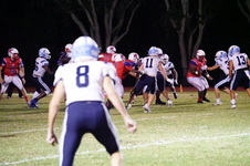 Enlarge photo 445
