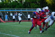 Enlarge photo 30