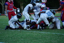 Enlarge photo 43