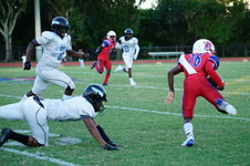 Enlarge photo 54