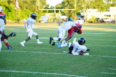 Enlarge photo 55