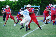 Enlarge photo 65