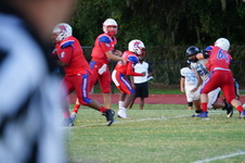 Enlarge photo 97