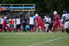Enlarge photo 137