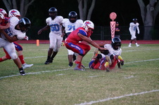 Enlarge photo 228