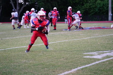 Enlarge photo 272