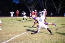 Enlarge photo 447