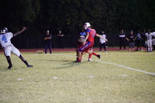 Enlarge photo 565