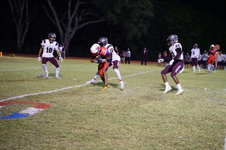 Enlarge photo 78