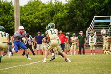 Enlarge photo 135