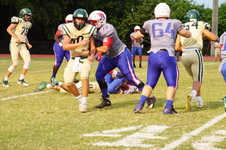 Enlarge photo 202