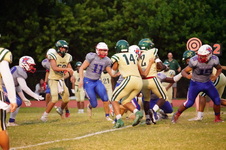 Enlarge photo 225
