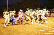 Enlarge photo 312