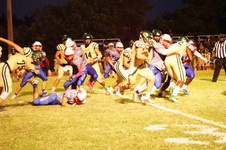 Enlarge photo 313
