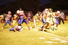 Enlarge photo 315