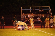 Enlarge photo 330