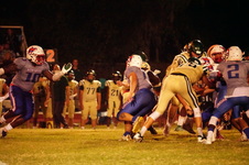 Enlarge photo 380
