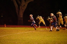 Enlarge photo 444