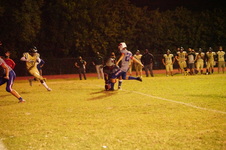 Enlarge photo 530