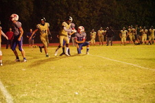 Enlarge photo 535