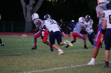 Enlarge photo 105