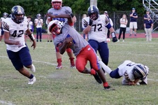 Enlarge photo 120