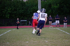 Enlarge photo 162