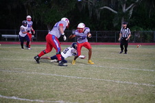 Enlarge photo 198