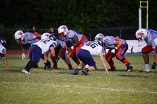 Enlarge photo 237