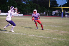 Enlarge photo 251