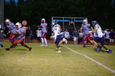 Enlarge photo 271