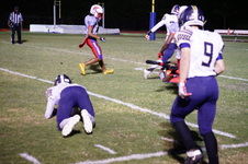Enlarge photo 342