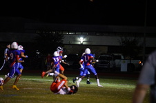Enlarge photo 329